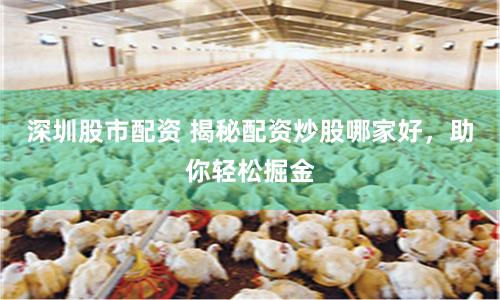 深圳股市配资 揭秘配资炒股哪家好，助你轻松掘金