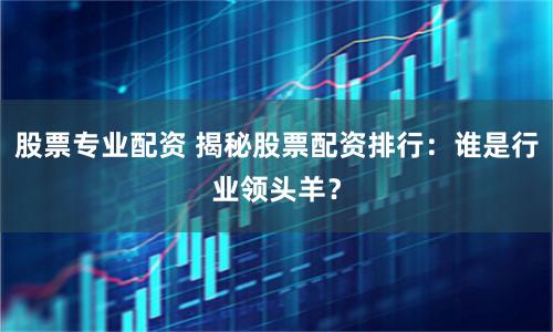 股票专业配资 揭秘股票配资排行：谁是行业领头羊？