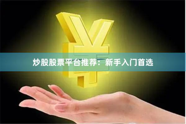 炒股股票平台推荐：新手入门首选
